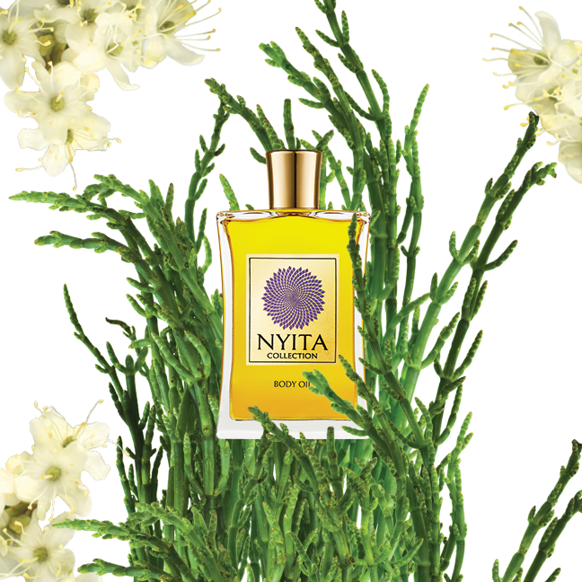 Web_prod_BODY_Sunlit_Ocean